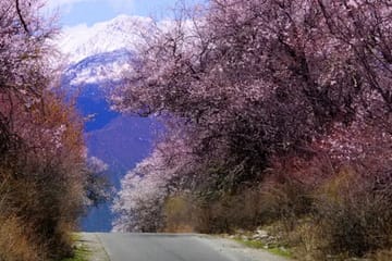7-Day Nature and Sightseeing Tour in Lhasa, Tibet