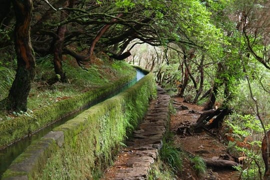Wine Route / Levada Do Estreito