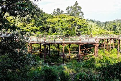 Nairobi Day Tour Animal Orphanage, Safari Walk & Bomas of Kenya