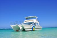 Join the ultimate party boat for incredible snorkeling, enjoying the clear waters and maximum fun on this Punta Cana cruise!
