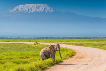 3-Day Safari Experience in Amboseli National Park, Kenya