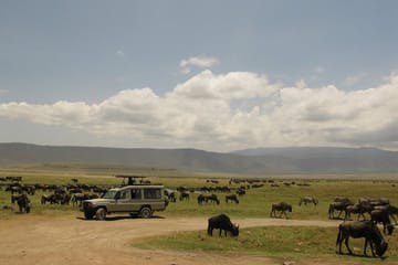 Private 3-Day Masai Mara Safari from Nairobi