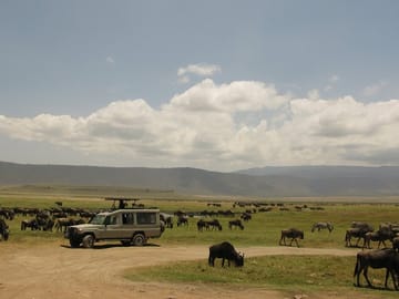 Private 3-Day Masai Mara Safari from Nairobi