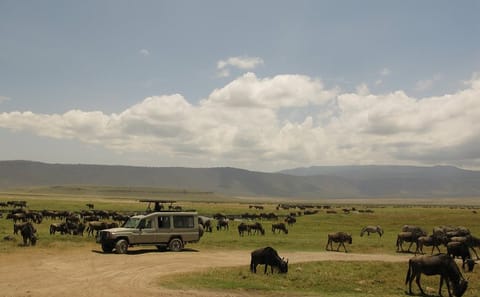 Private 3-Day Masai Mara Safari from Nairobi