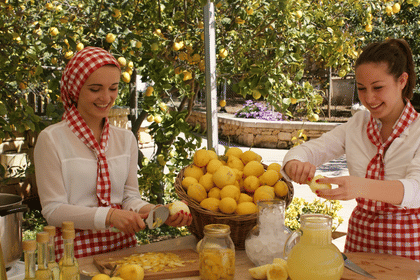 The Limestone Heritage Park & Gardens (Entry Ticket)