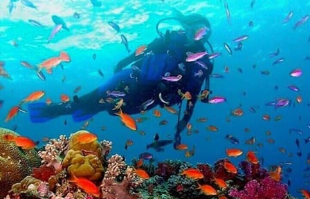 Snorkeling in Trincomalee