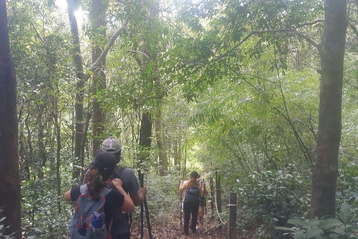 Private Trekking Tour to The World Heritage Temples 3