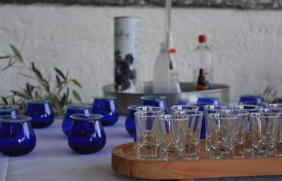 Rhodes: Olive Oil and Olives Tasting in Rhodes-From Tree to Table