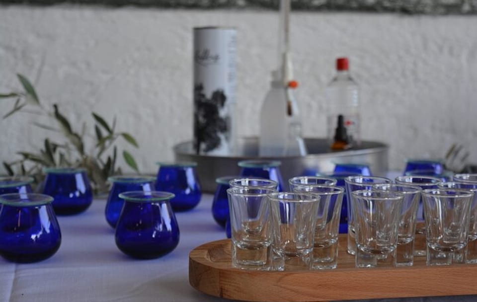 Olive Oil and Wine Tasting Tour in Paradisi, Greece
