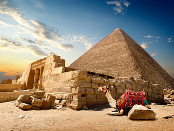 Cultural Day Tour of Cairo with Flights from Marsa Alam