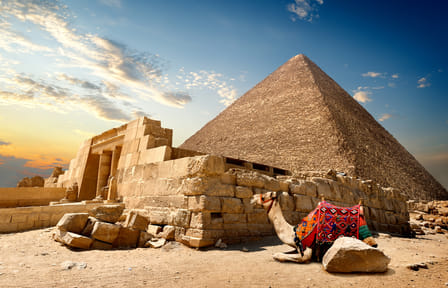 Cultural Day Tour of Cairo with Flights from Marsa Alam