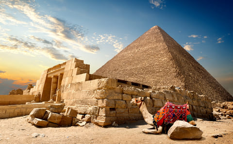 Cultural Day Tour of Cairo with Flights from Marsa Alam