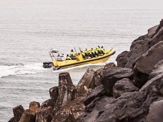 Puffin Tour by RIB Speedboat from Downtown Reykjavik, photo 12