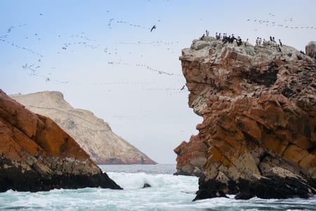 Sailing Adventure to Magdalena Island Penguin Colony from Punta Arenas