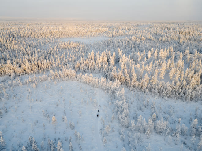 Rovaniemi: Insider 10 km Husky Self‑Drive Adventure