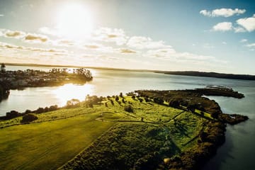 Auckland Volcanic Field Exploration and Scenic Views Tour