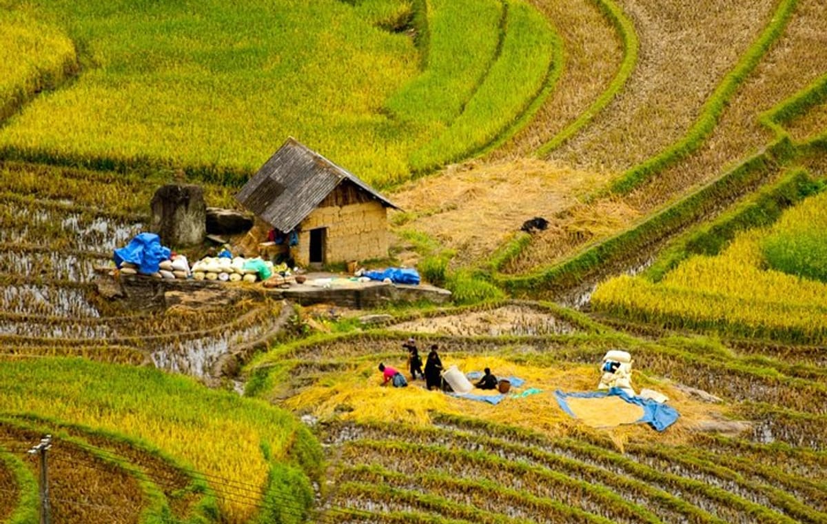 Sapa Hard Trekking villages 2D/1N: Homestay, Meals, English speaking guide