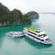 La Casta Cruise - Amazing Luxury Daily Tour in Ha Long Bay