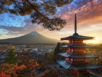 Mt Fuji or Hakone Private Day Tour