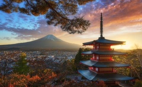 Mt Fuji or Hakone Private Day Tour