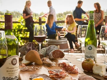 Napa and Sonoma Wine Tour from San Francisco in SUV