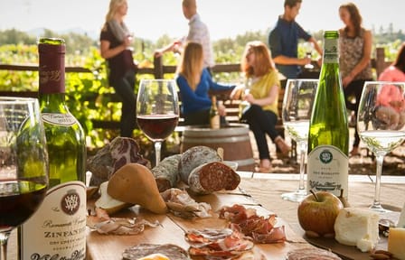 Shore Excursion in SFO – Enchanted Napa & Sonoma Wine Tour in SUV