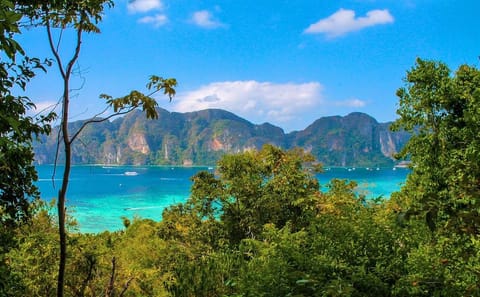Ferry Roundtrip from Phuket to Phi Phi Islands