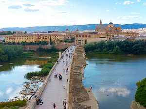 Cordoba private walking tour 