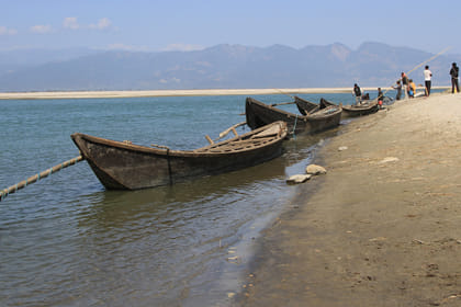 Koshi Tappu Aqua Birds Watching Camp – 4 Days beyond the experience
