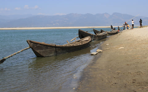 Koshi Tappu Birdwatching Camp: 4-Day Nature Experience in Nepal