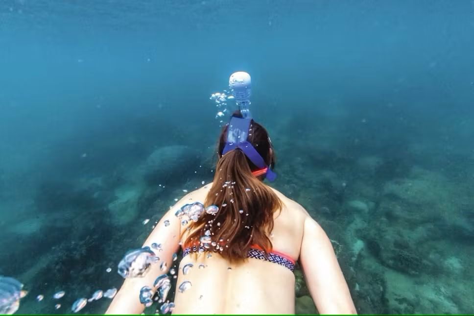 Full-Day Catamaran Snorkeling Tour with Lunch from Puerto Plata