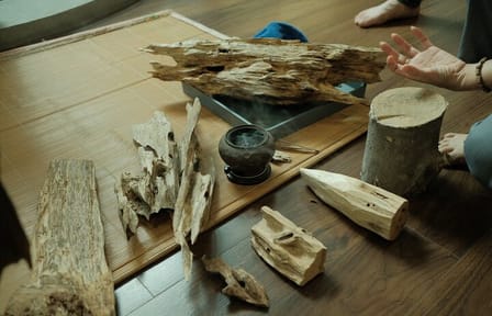 Agarwood Production Workshop Tour with Vegan Lunch in Hanoi
