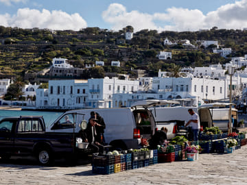 Mykonos-Island tour for cruise travelers (small group)