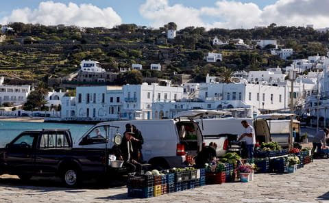 Mykonos-Island tour for cruise travelers (small group)