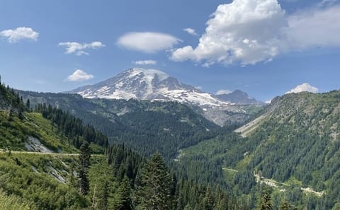 Day Trip to Olympic National Park from Seattle with Ferry