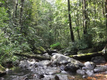 13-Day Adventure Tour of Sri Lanka's Nature and Wildlife