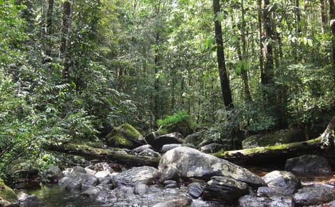 13-Day Adventure Tour of Sri Lanka's Nature and Wildlife