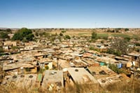 Soweto and Lion Park Tour 4