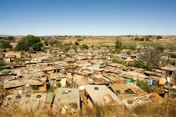 Soweto and Lion Park Tour 4
