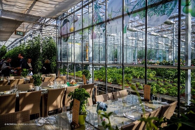 Private Golden Circle & Blue Lagoon Tour with Fridheimar Farm