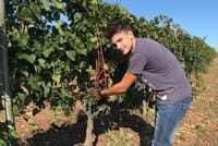 PRIVATE Full-Day Wine Experience in Chianti Classico. 4