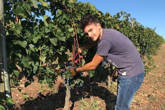 PRIVATE Full-Day Wine Experience in Chianti Classico. 4