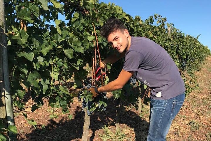 PRIVATE Full-Day Wine Experience in Chianti Classico. 4