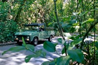 Promo Rio de Janeiro: 4 Wonders Jeep Tour + Walking Tour At Centro Historico 5