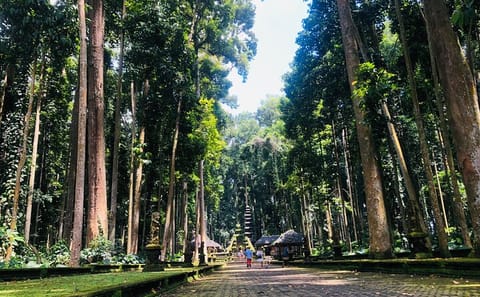 Explore Jatiluwih Rice Terraces and Beratan Lake Temple