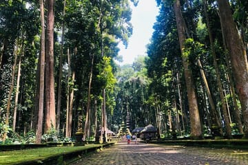Explore Jatiluwih Rice Terraces and Beratan Lake Temple