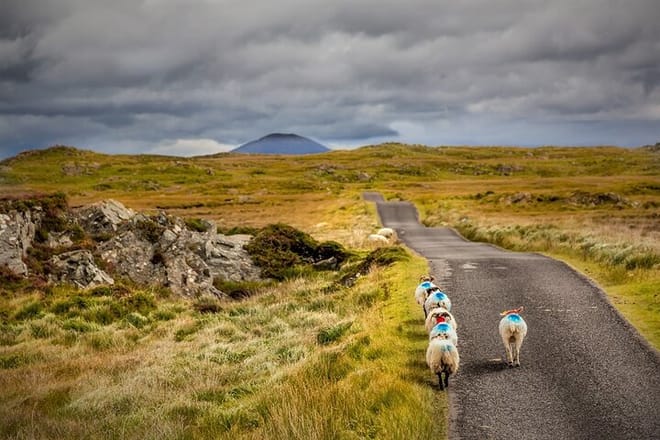 Haunted Bog Road Tour. Galway. Private guided.	 2