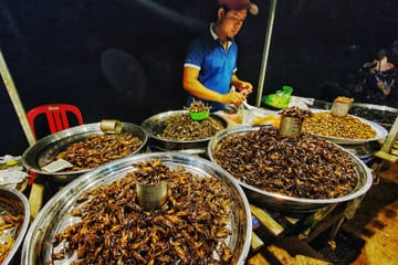 Explore Evening Local Culture Food Tour (100% Locals Tasting)