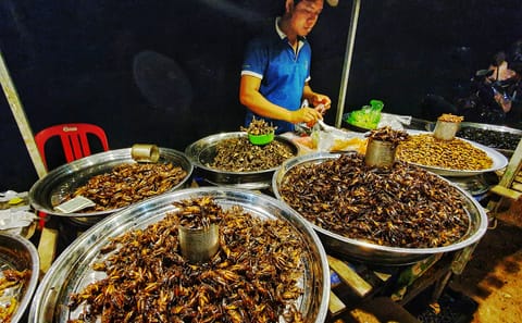 Explore Evening Local Culture Food Tour (100% Locals Tasting)