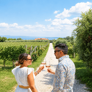 Wine tour and tasting with Lake view in Moniga del Garda